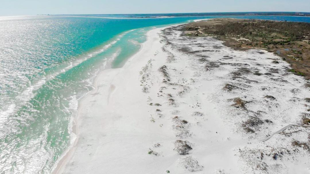 Private, Quiet-Close To Dwntn Pensacola, Stadium, Beaches Villa Esterno foto
